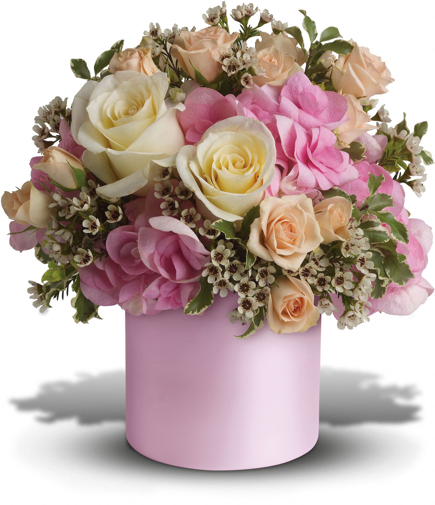 Teleflora's Blushing Beauty Flowers