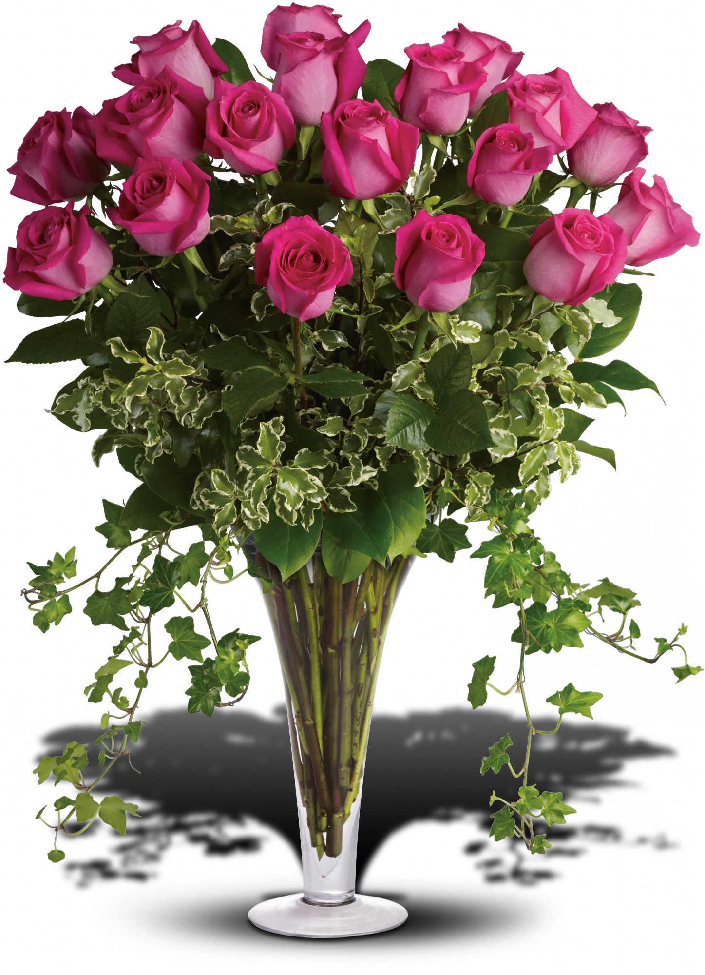 Dreaming in Pink - 18 Long Stemmed Premium Pink Roses Flowers