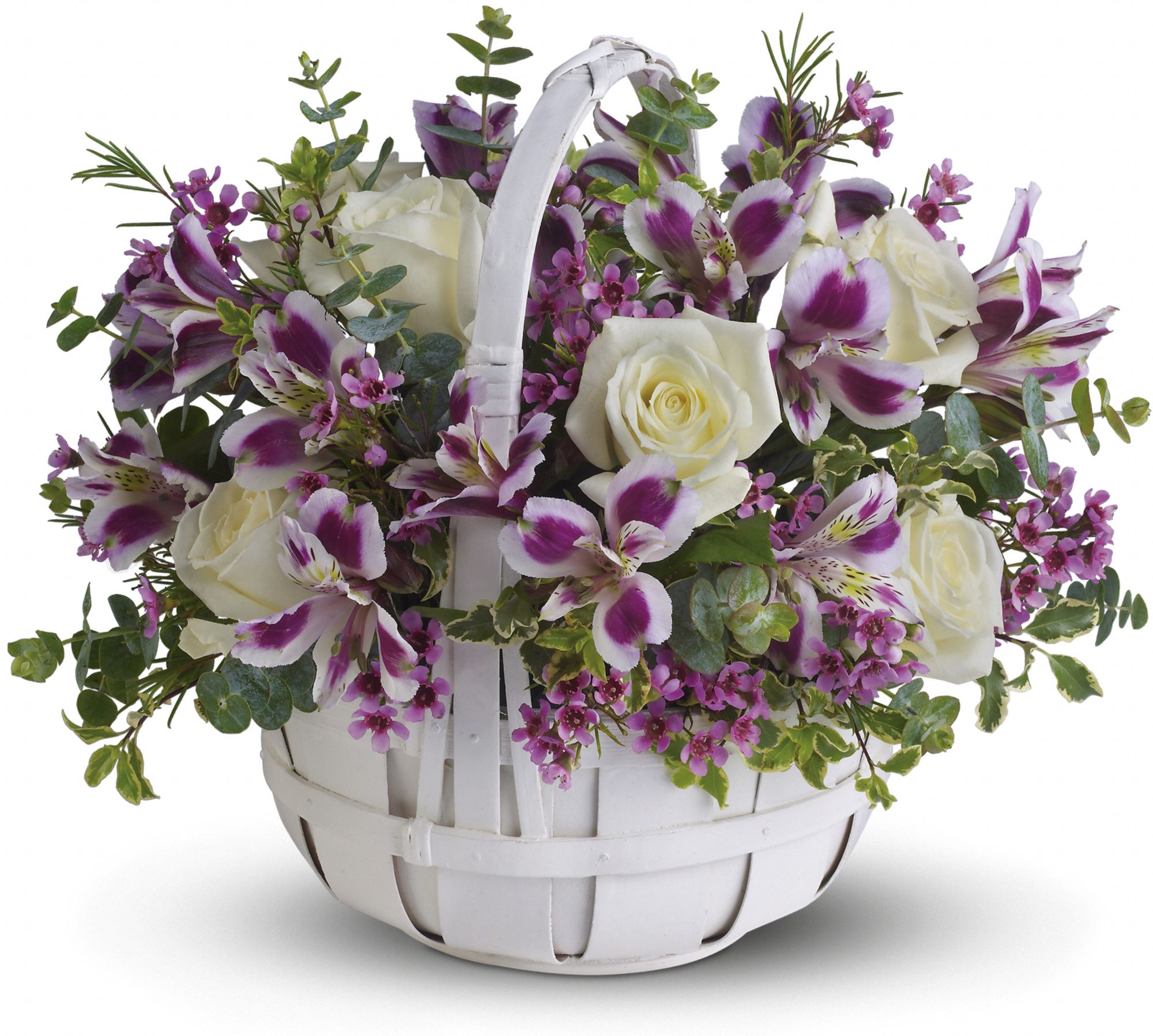 Sweet Moments Flowers