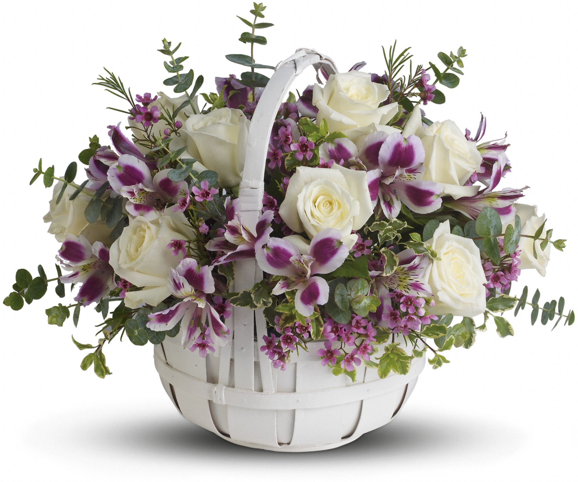 Sweet Moments Flowers