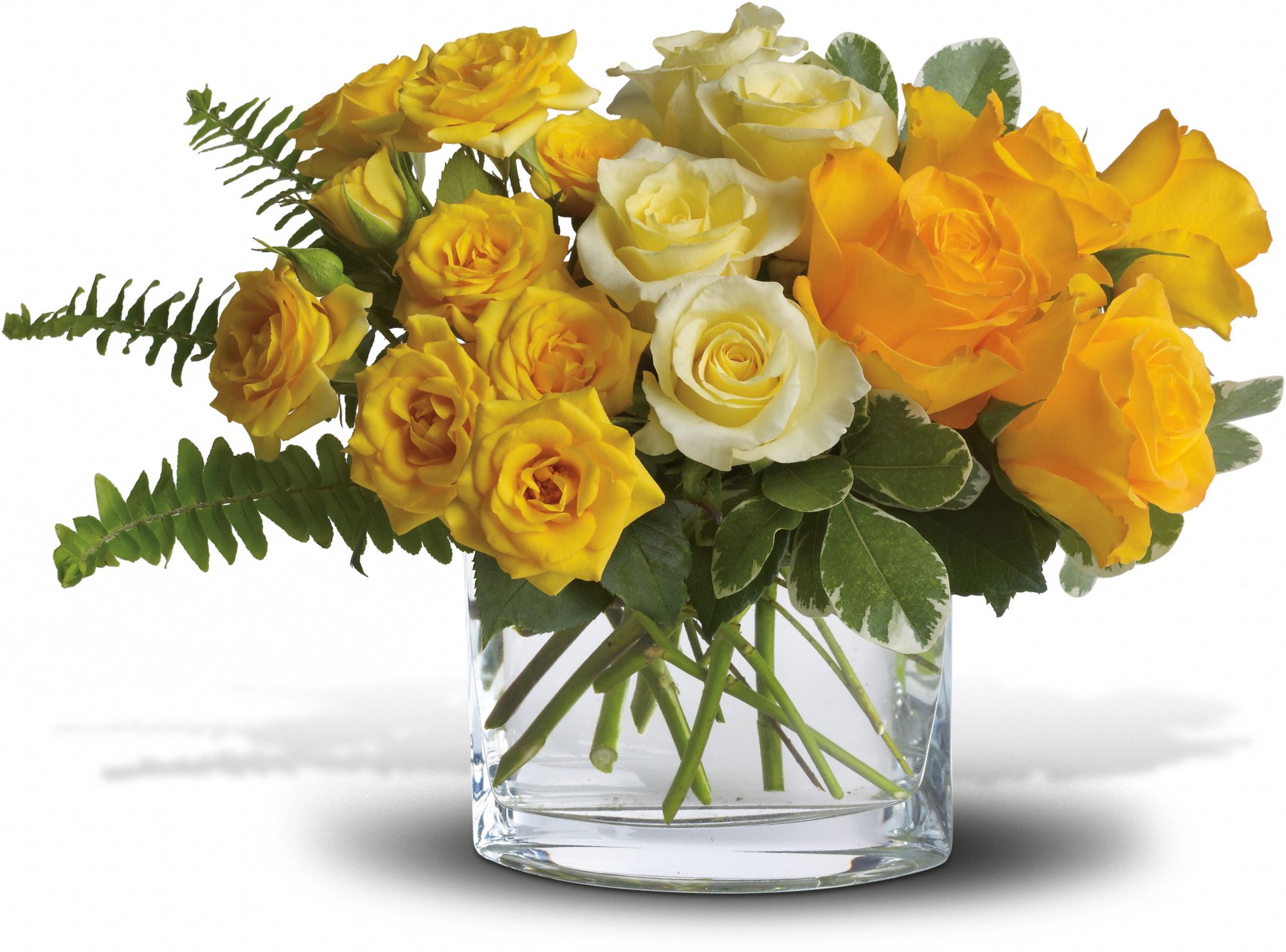 The Sun'll Come Out by Teleflora Flowers