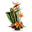 Teleflora's Exotic Grace Flowers