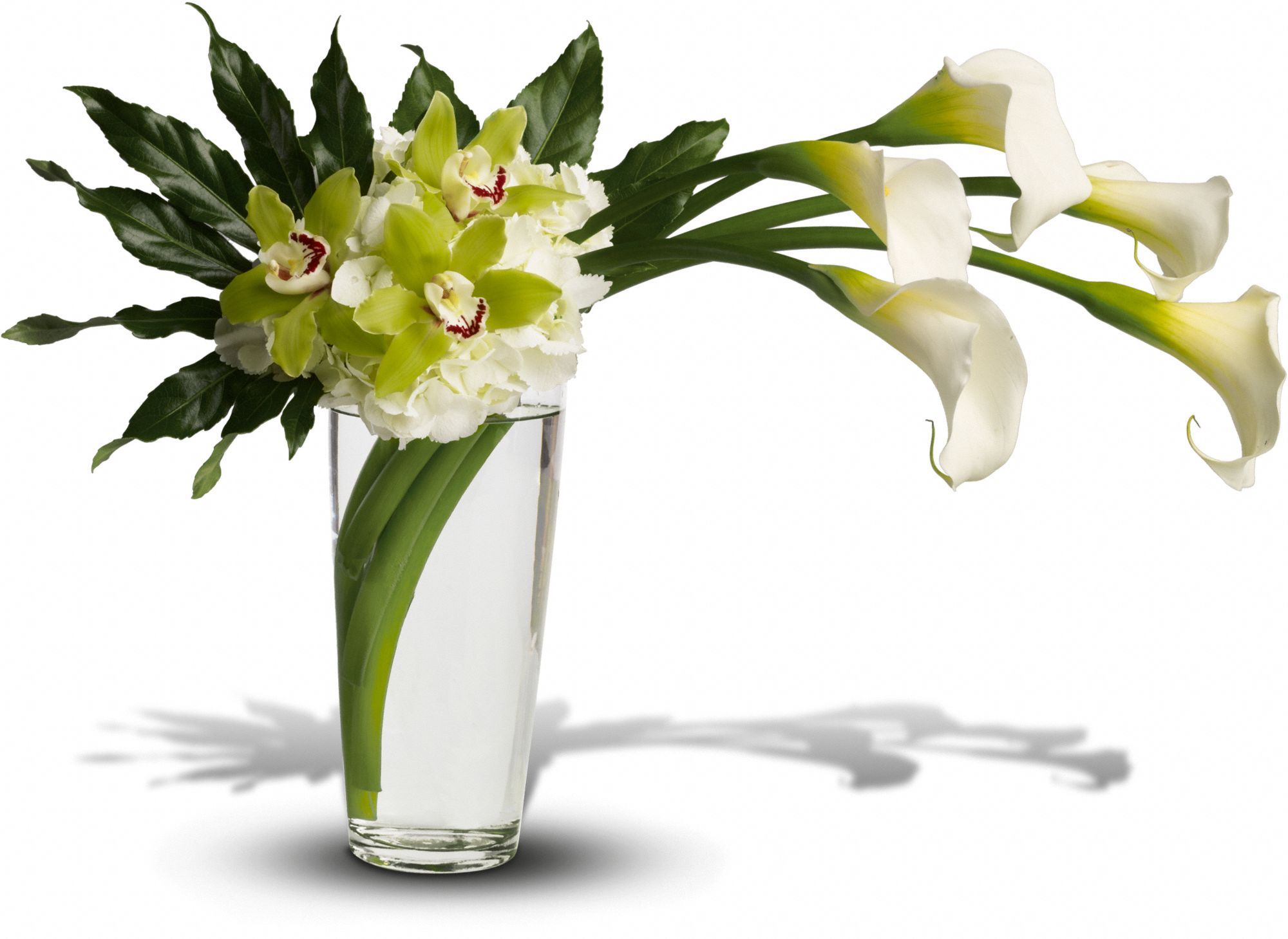 Moondance Flowers