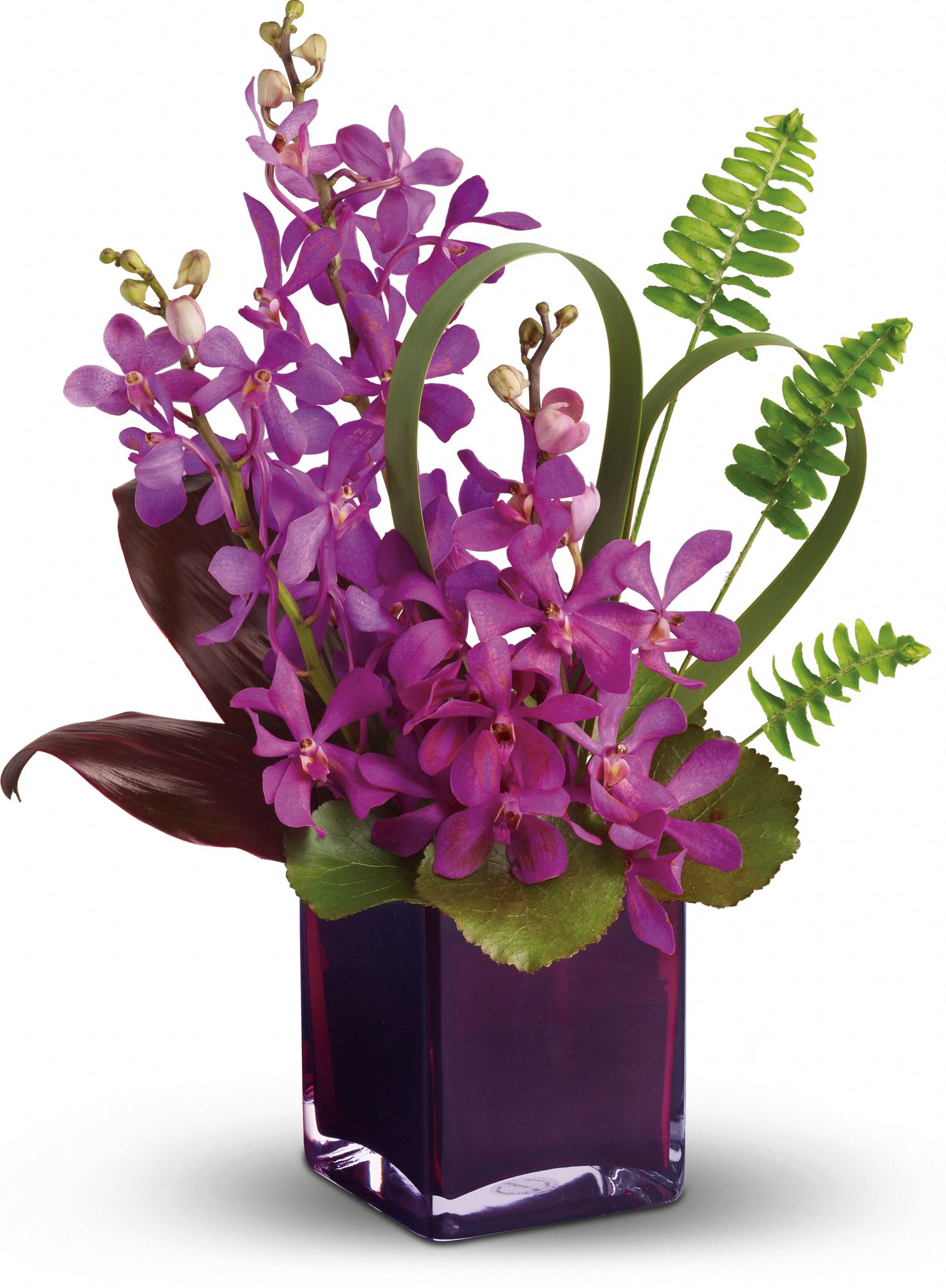 Teleflora's Island Princess Flowers
