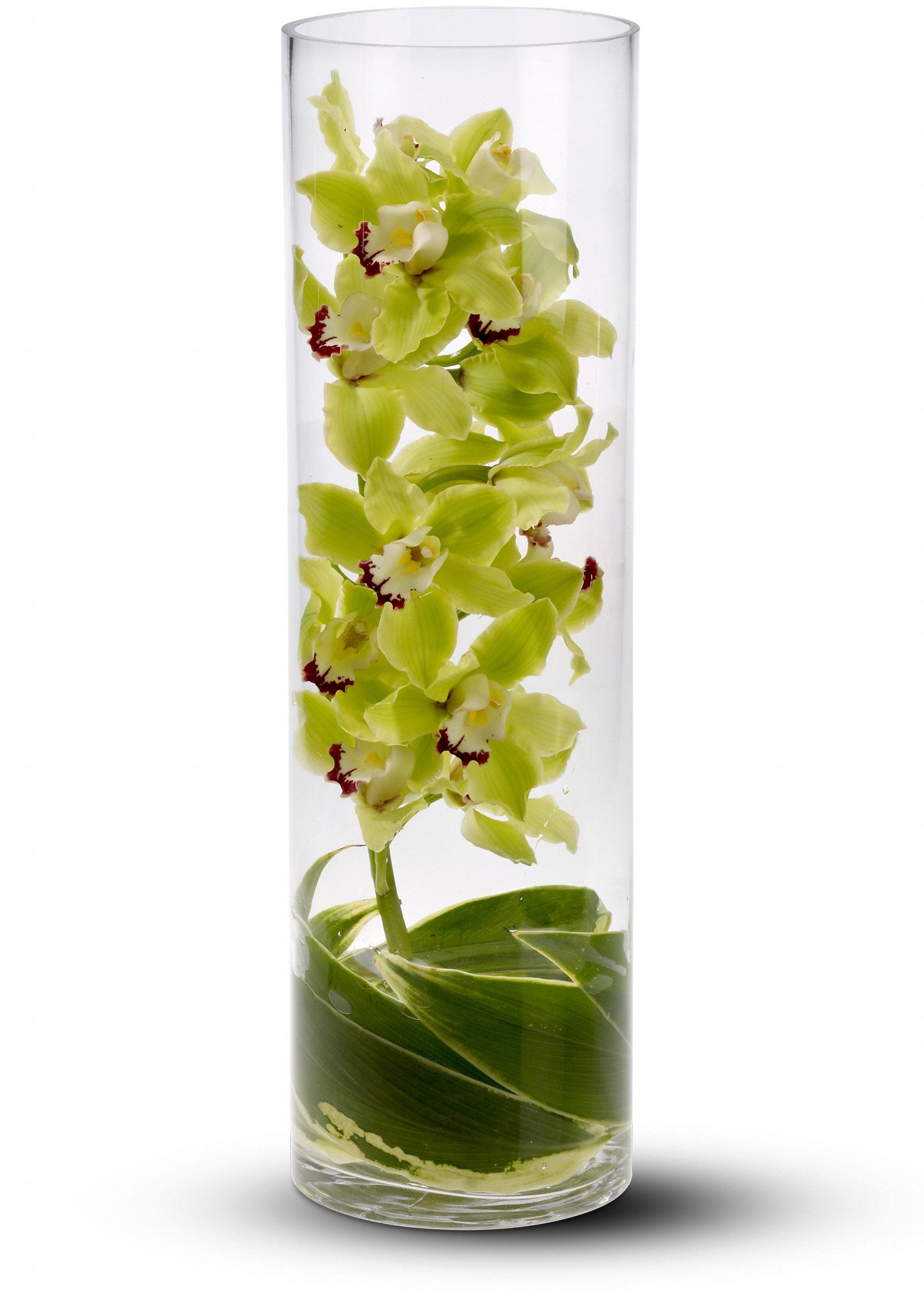 Zensational Flowers