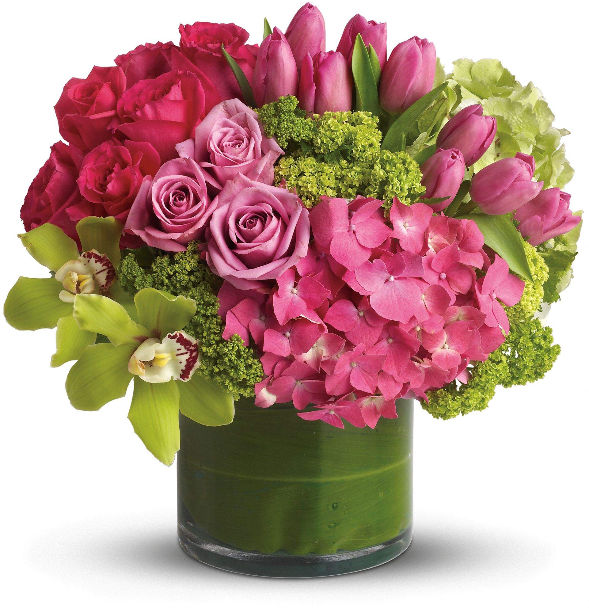 New Sensations DX Flowers