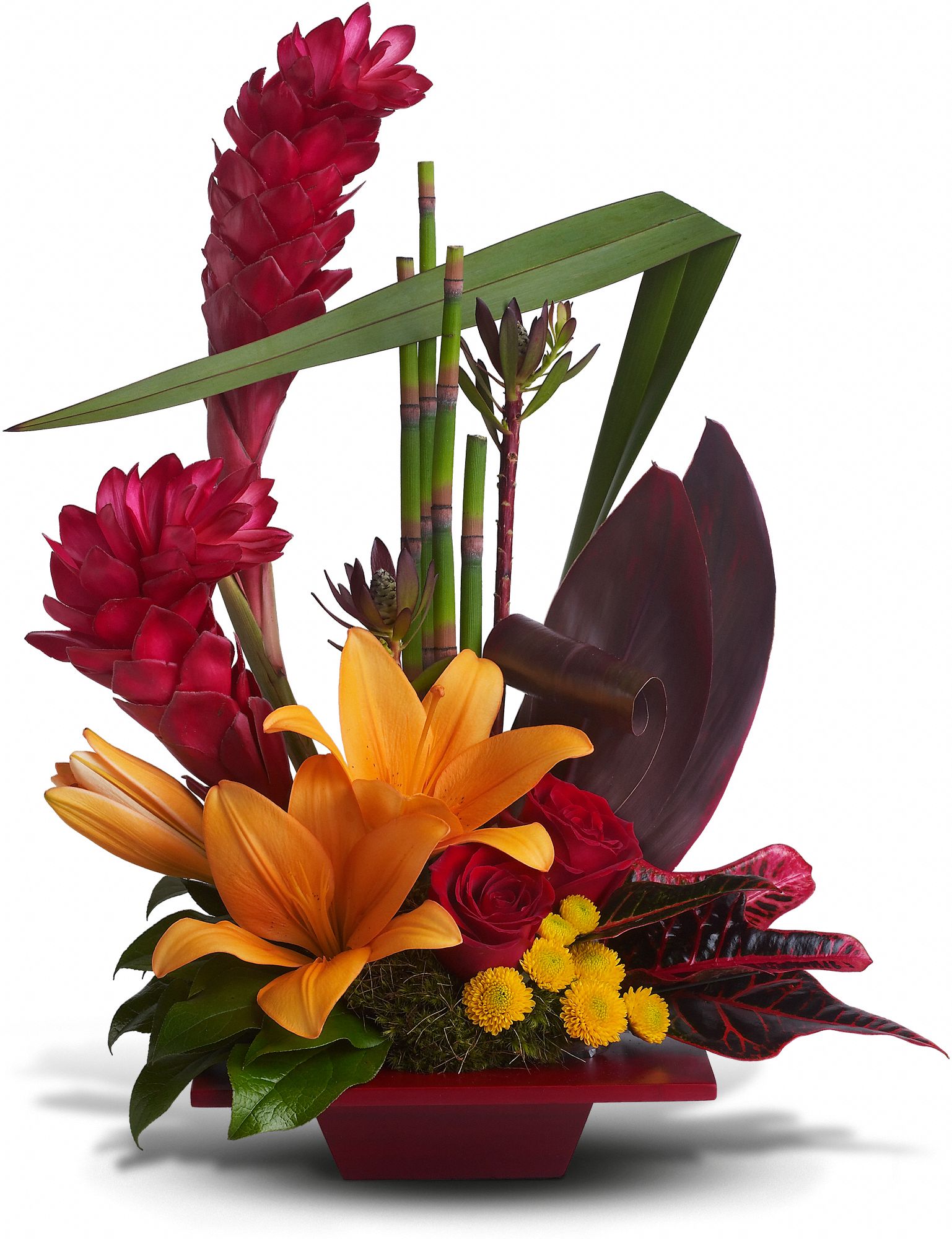 Teleflora's Tropical Bliss Flowers