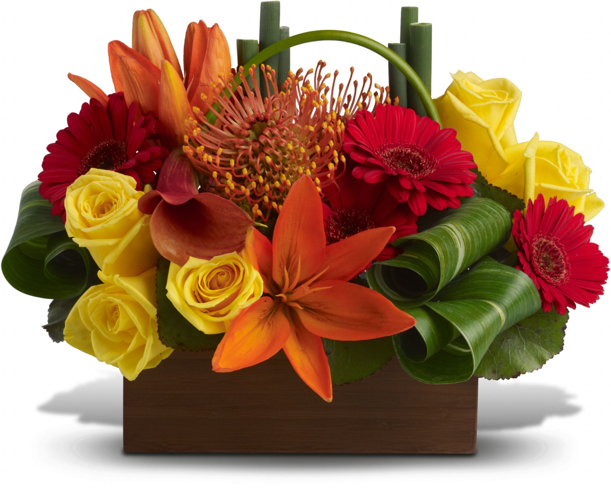 Bamboo Getaway Tropical Flowers