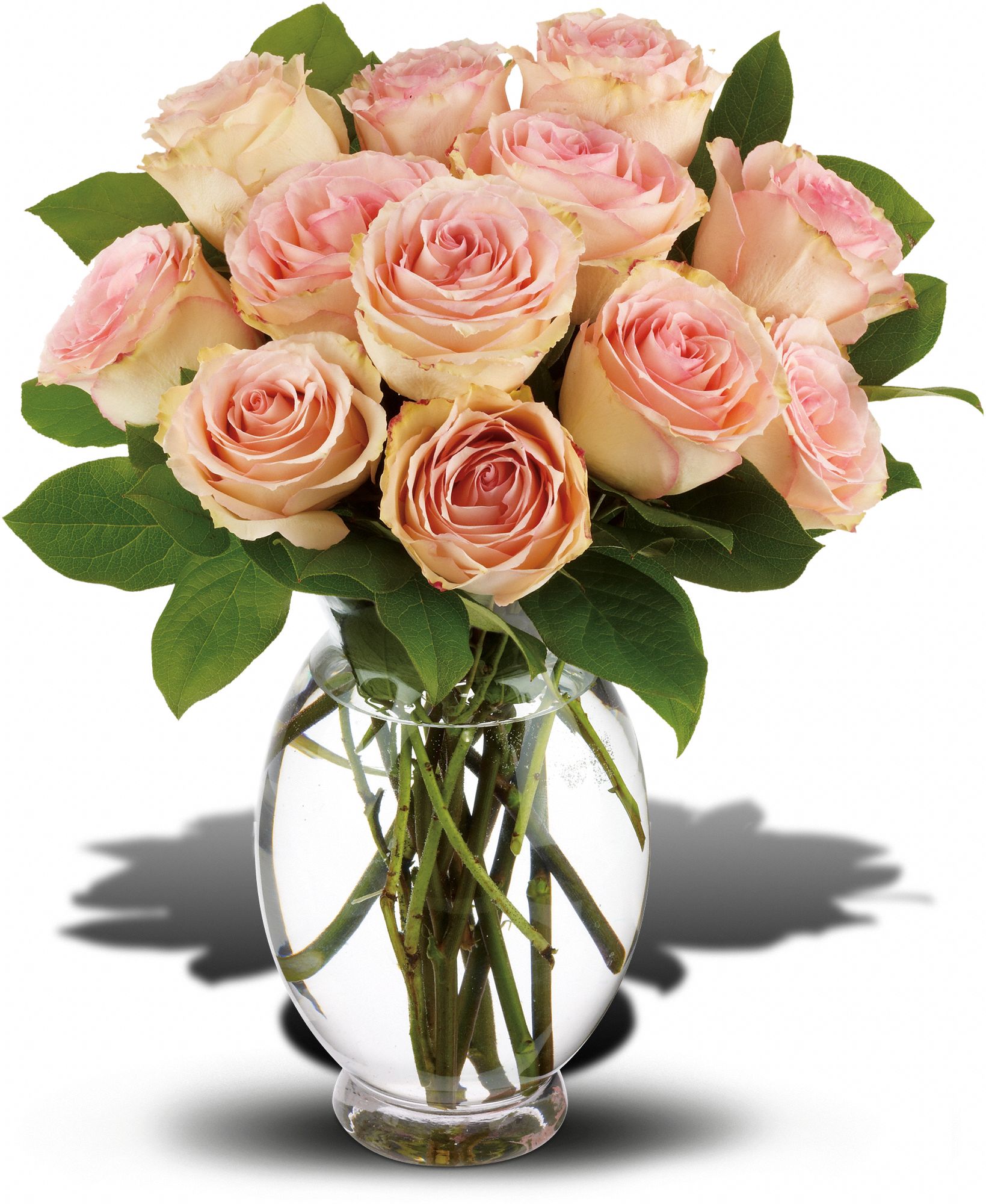 Teleflora's Delicate Dozen Flowers