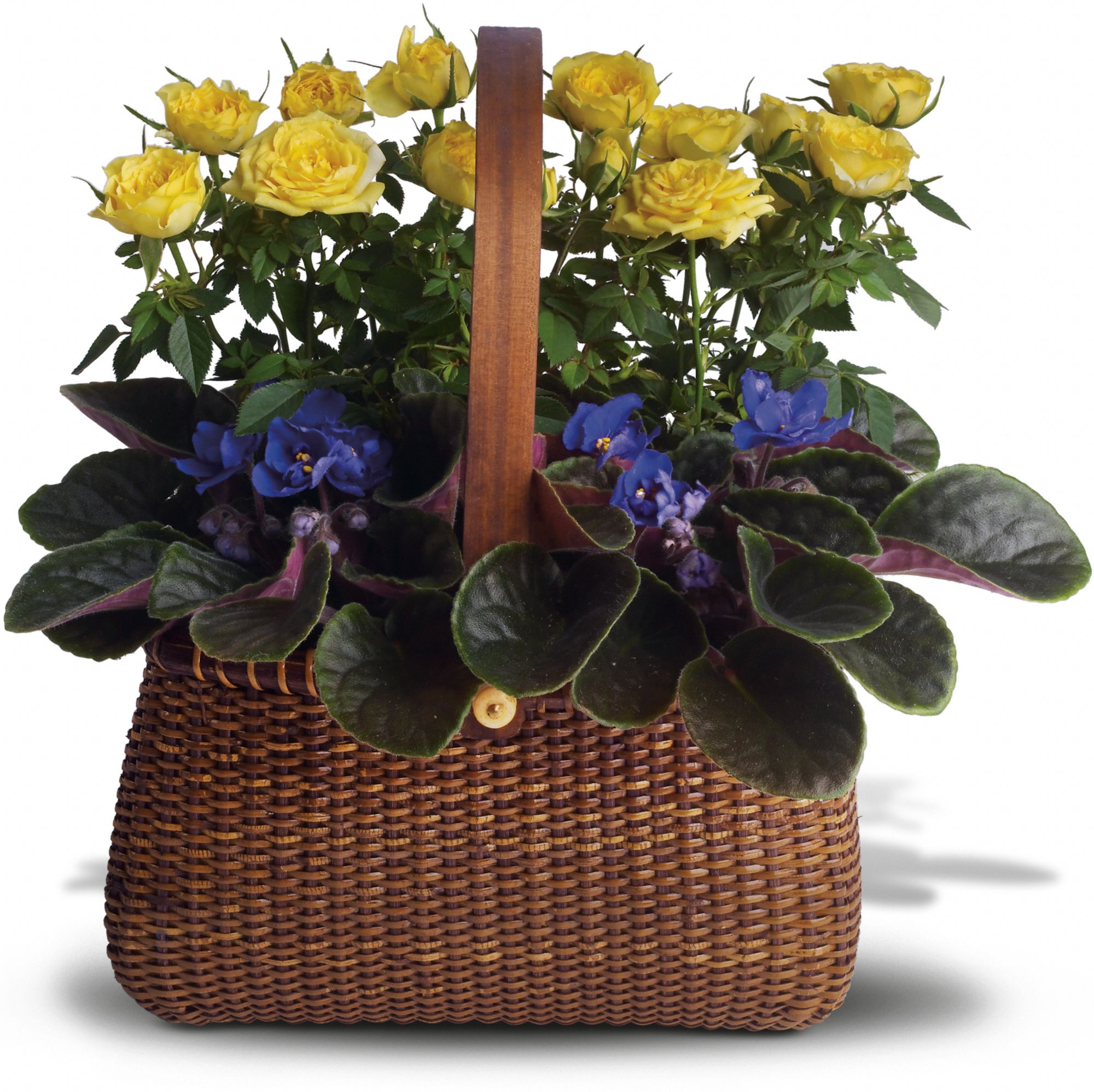 Garden To Go Basket Plants