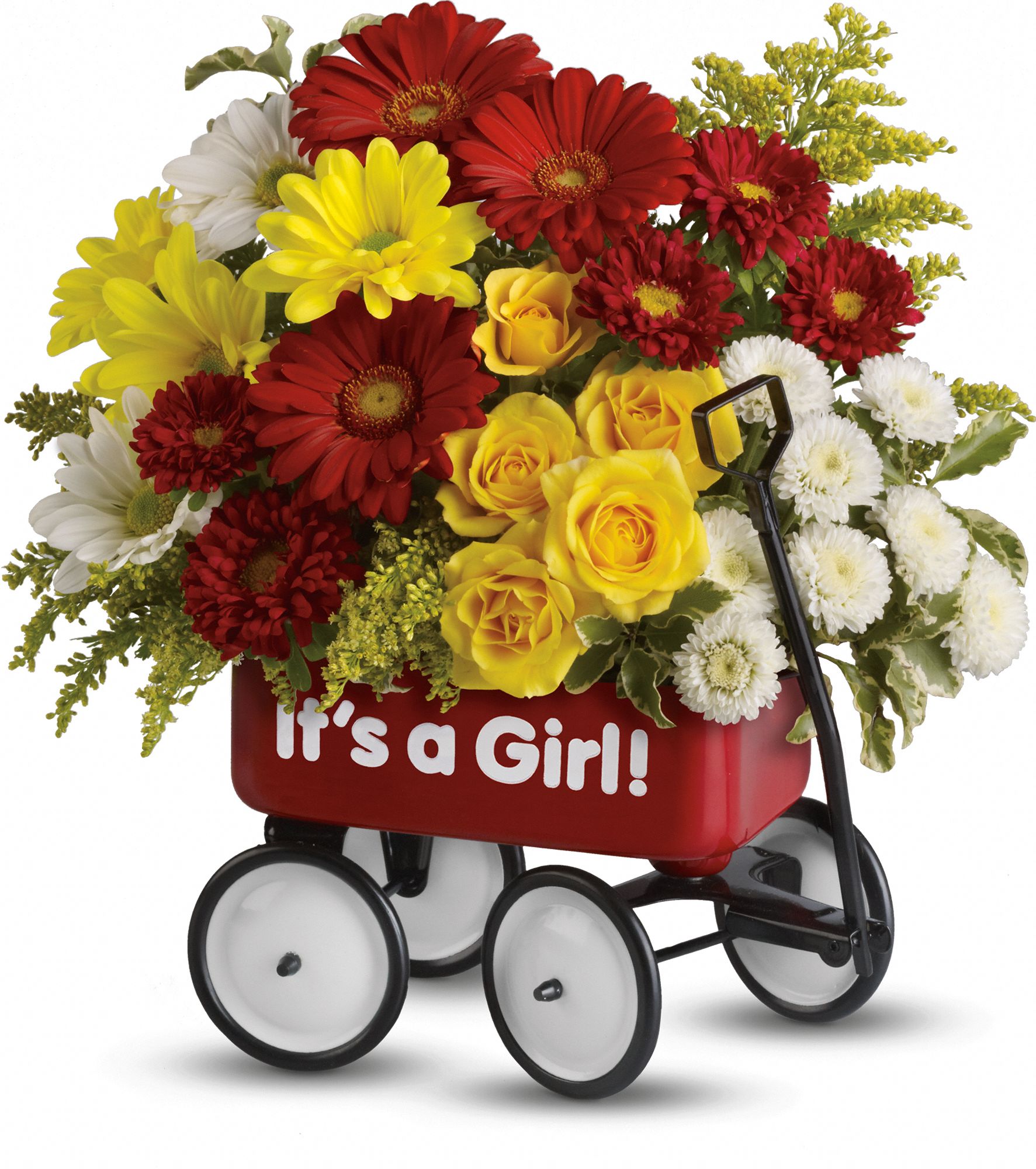 Baby's Wow Wagon by Teleflora - Girl DX Flowers