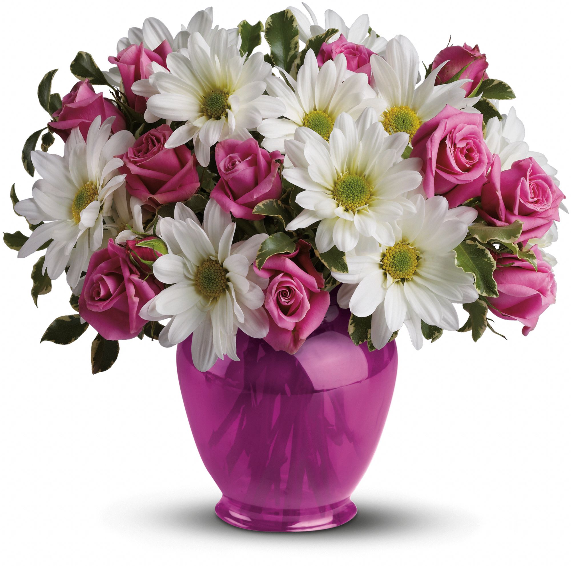 Pink Daisy Delight Flowers