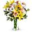 Teleflora's Daisies and Sunbeams Flowers