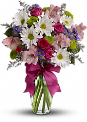 Montecassino Flowers on Tev124a Pretty Please   Flowers   Plants   Gift   Baskets   Teleflora