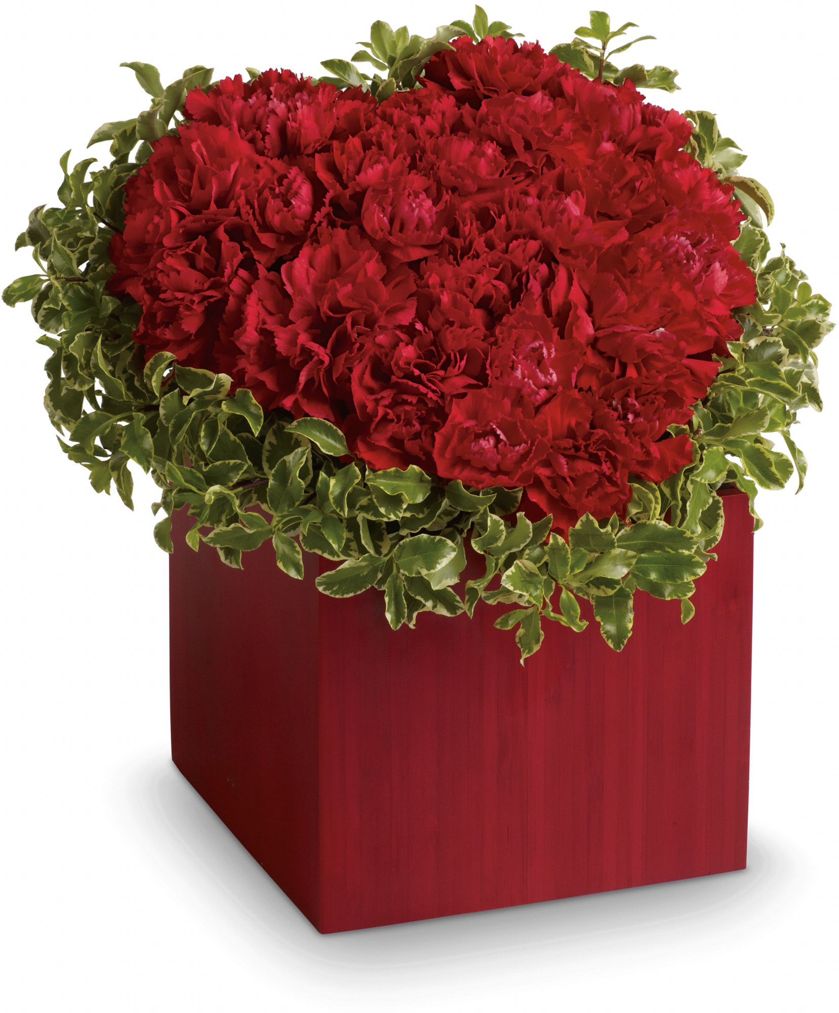 Hopelessly Devoted by Teleflora Flowers