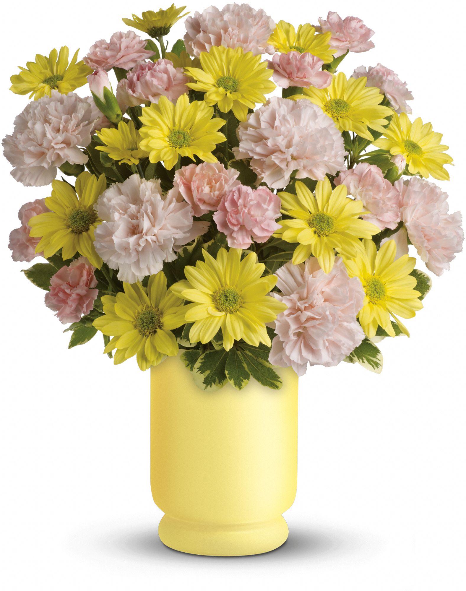 Telelflora's Bright Day Bouquet Flowers