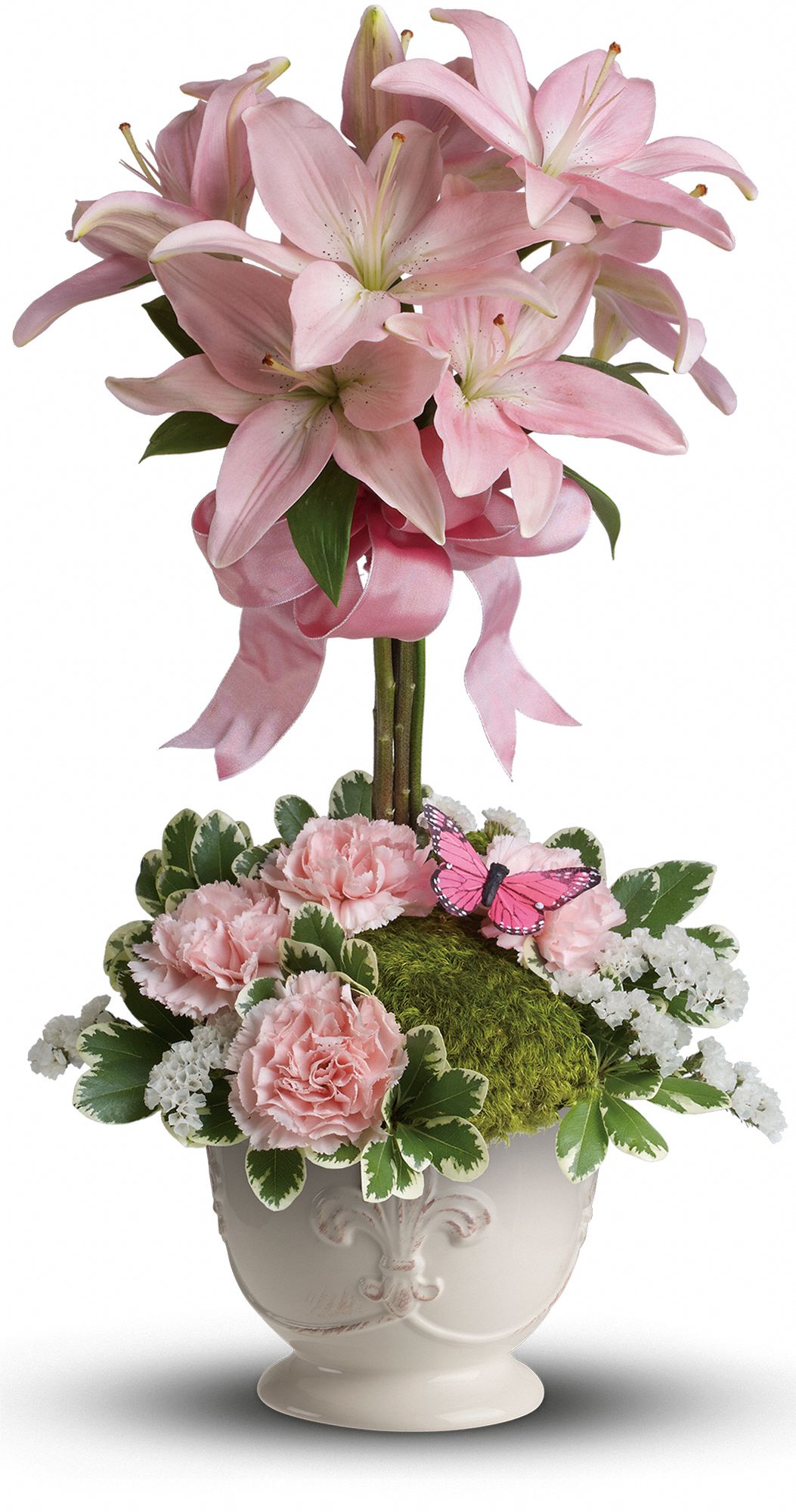 Teleflora's Blushing Lilies Plants