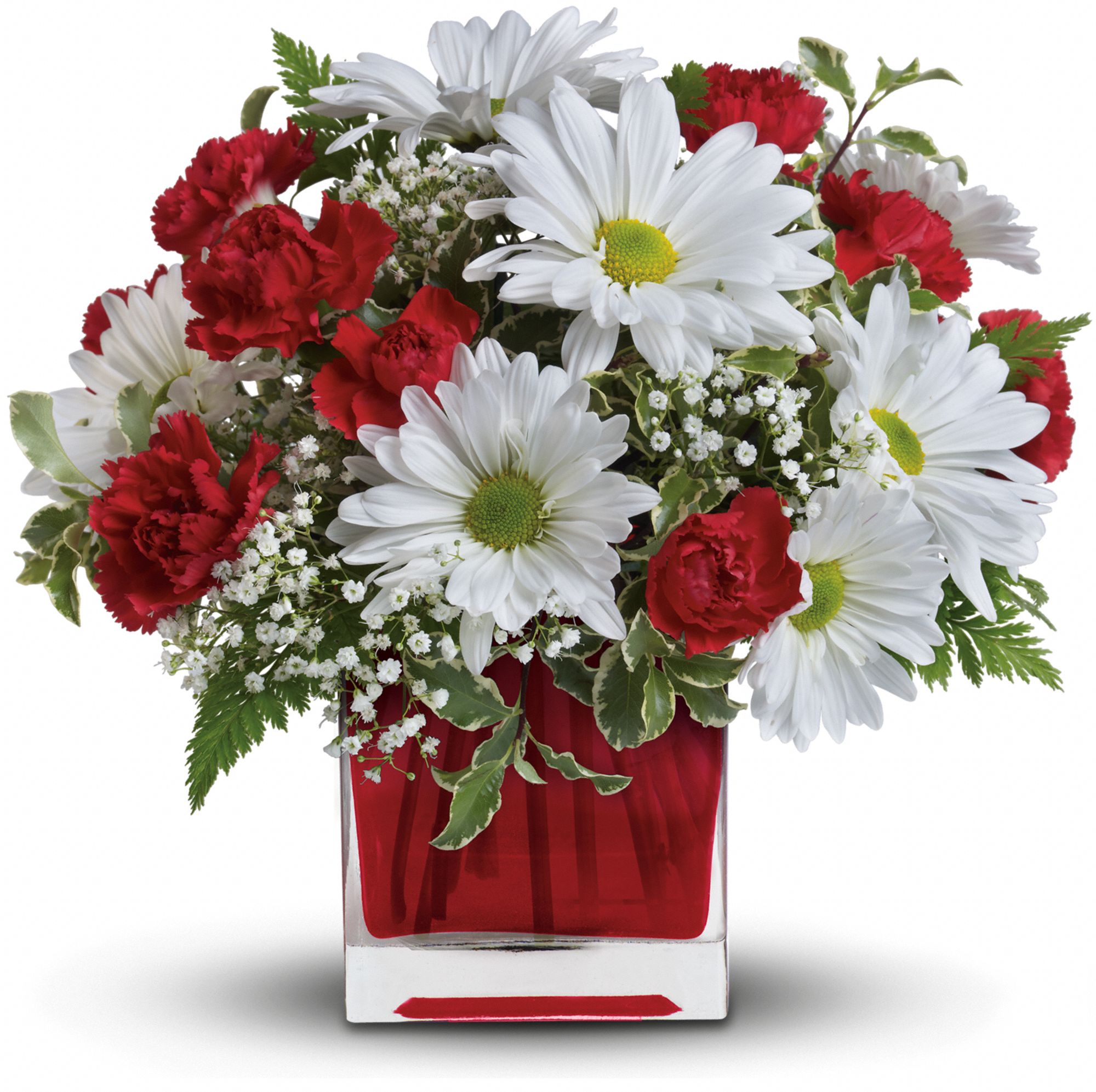 Red And White Delight by Teleflora Flowers