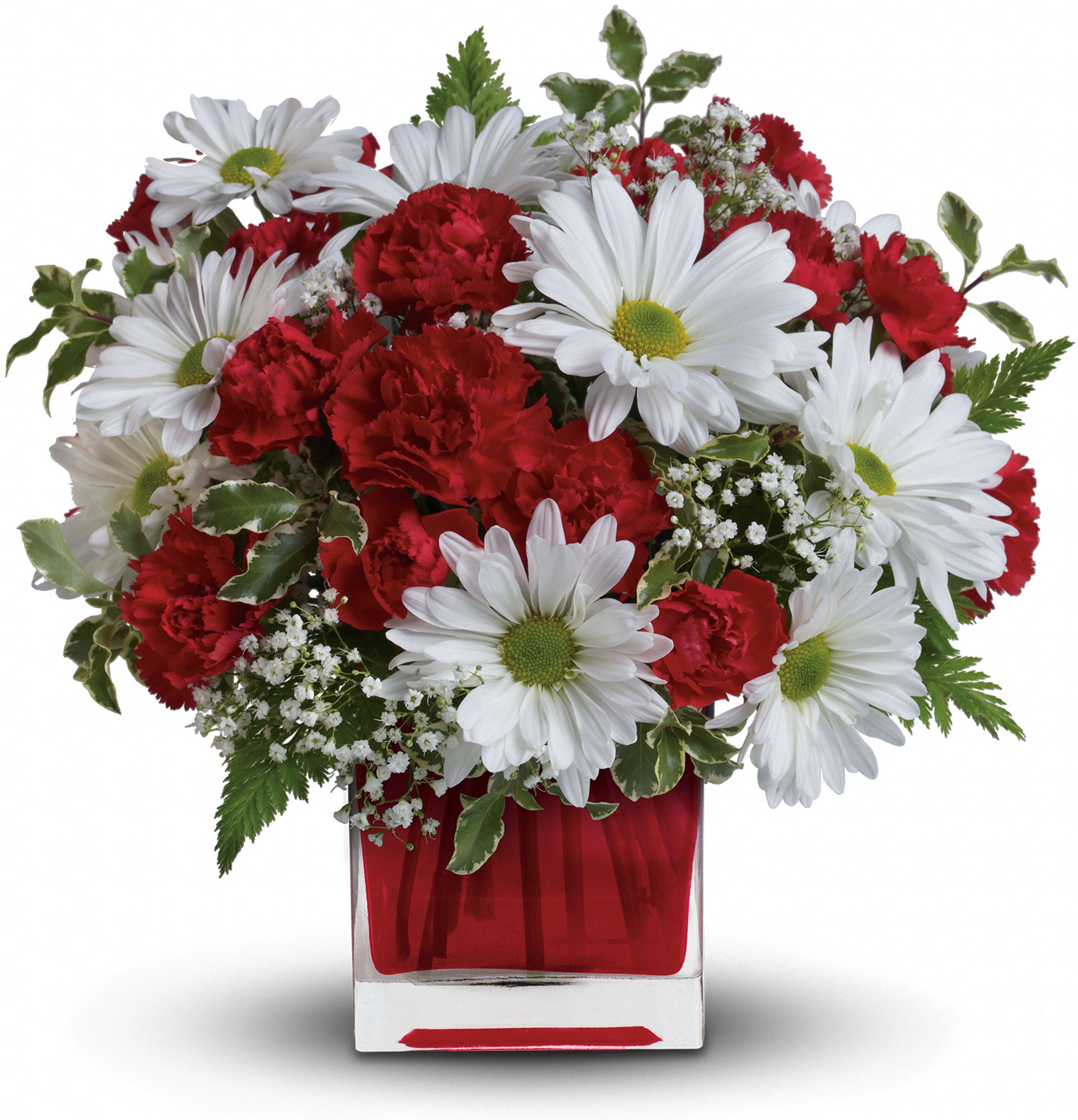 Red And White Delight by Teleflora Flowers