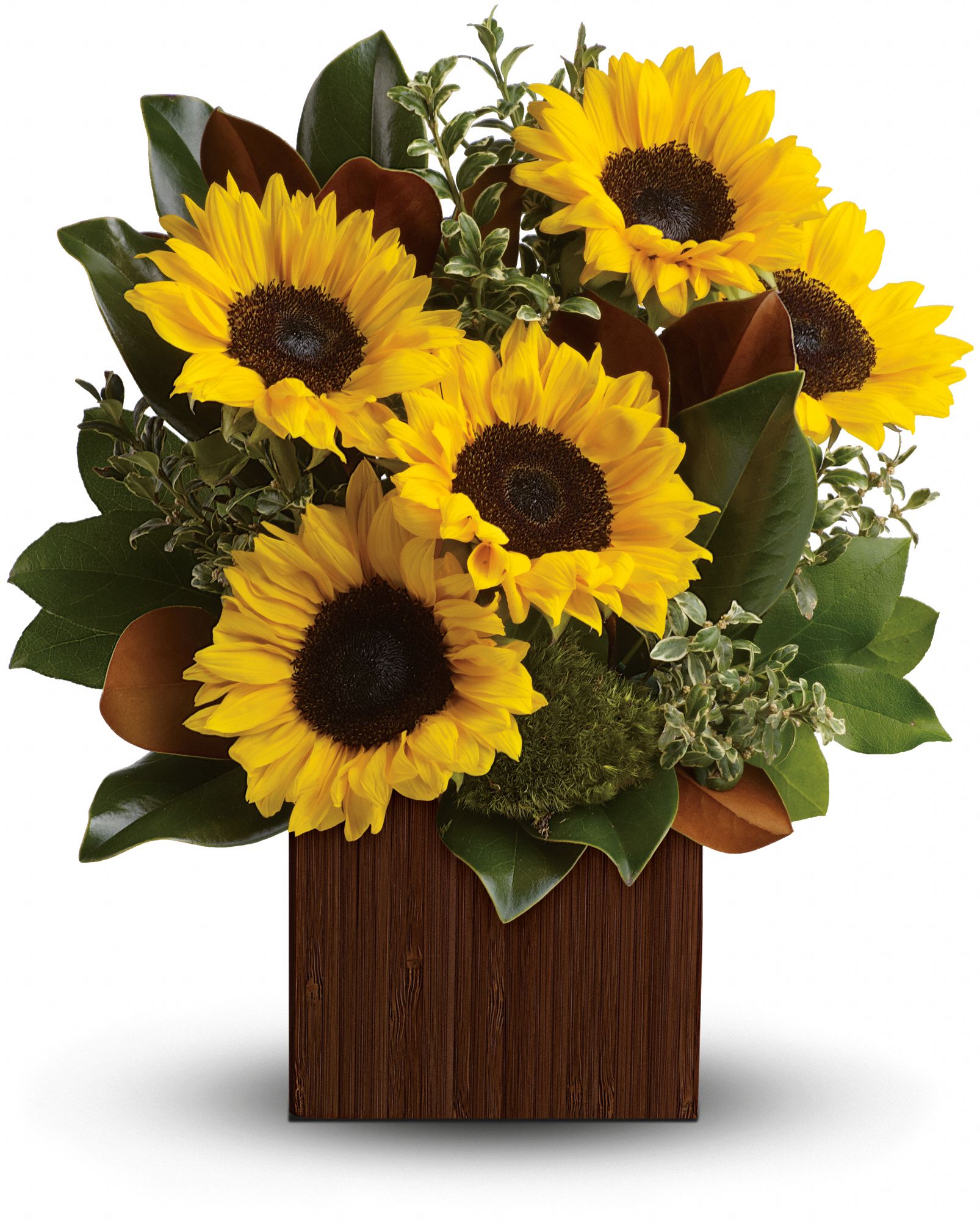 You're Golden Bouquet by Teleflora Flowers