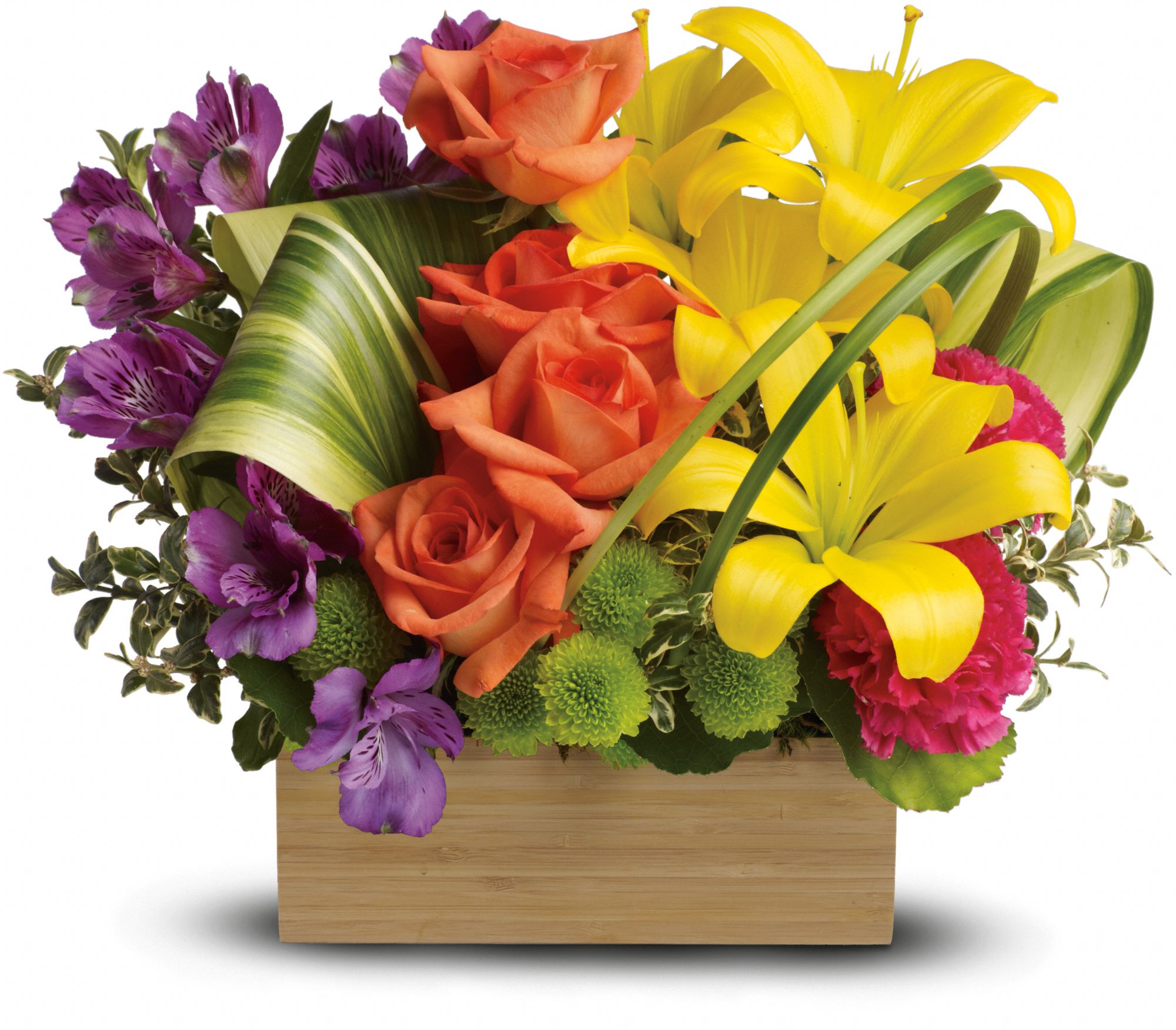 Teleflora’s Island Blooms Photoverse