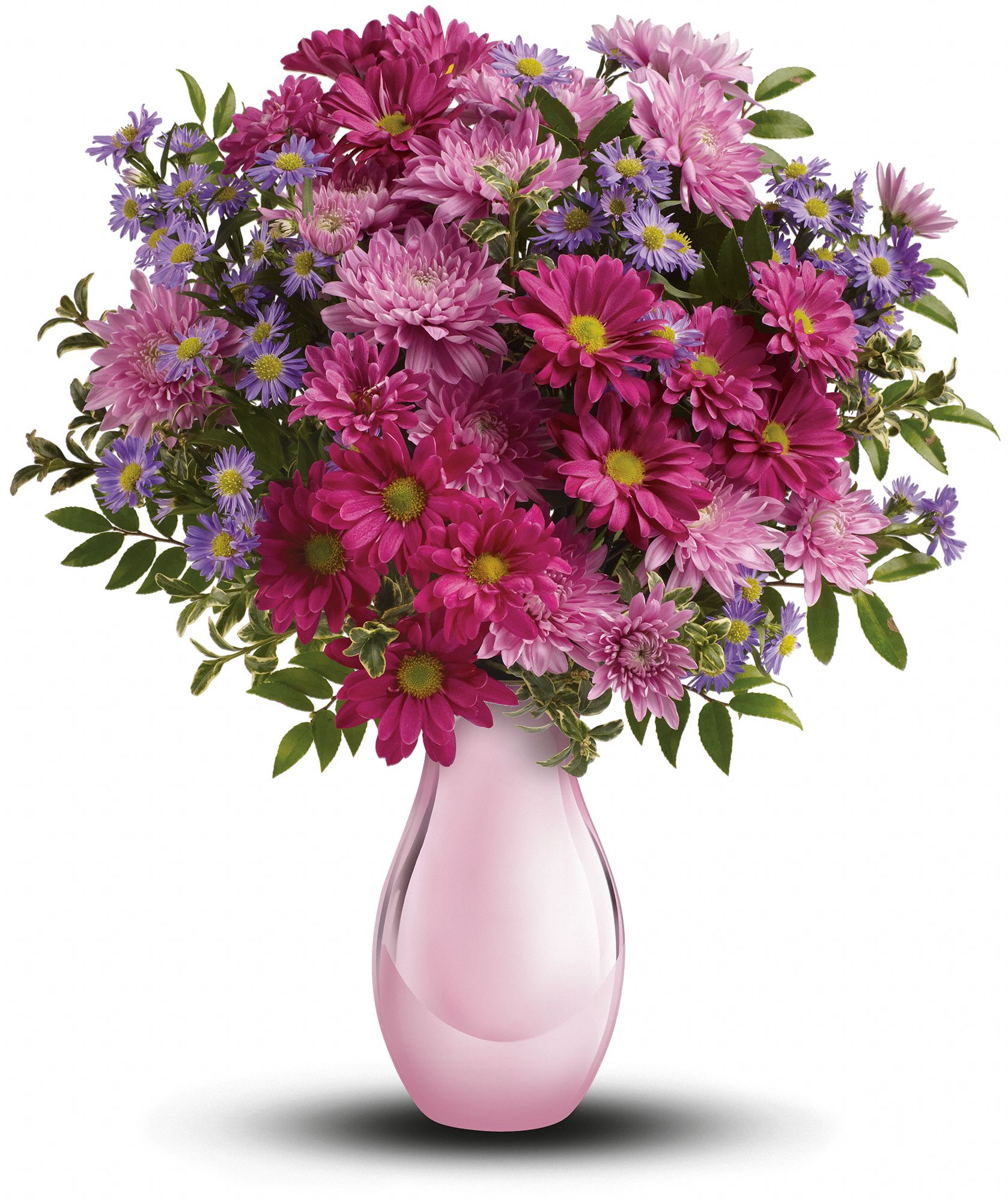 Chrysanthemum Mums Flower Meaning amp; Symbolism  Teleflora