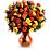 Teleflora's Fabulous Fall Roses Flowers