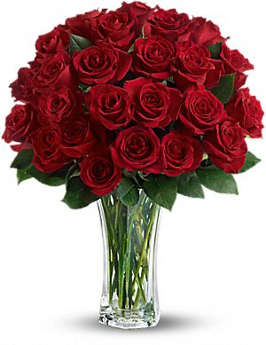 Love and devotion 24 long stemmed red roses