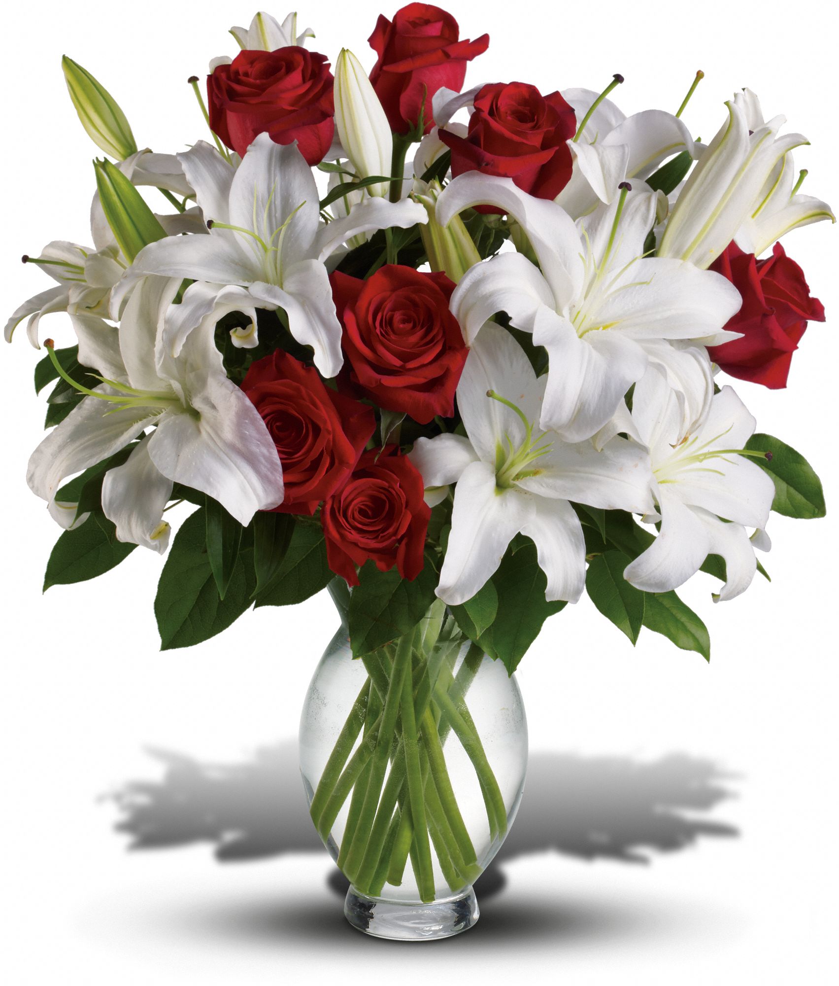 Teleflora’s Timeless Romance Long Stemmed Roses Dynabox