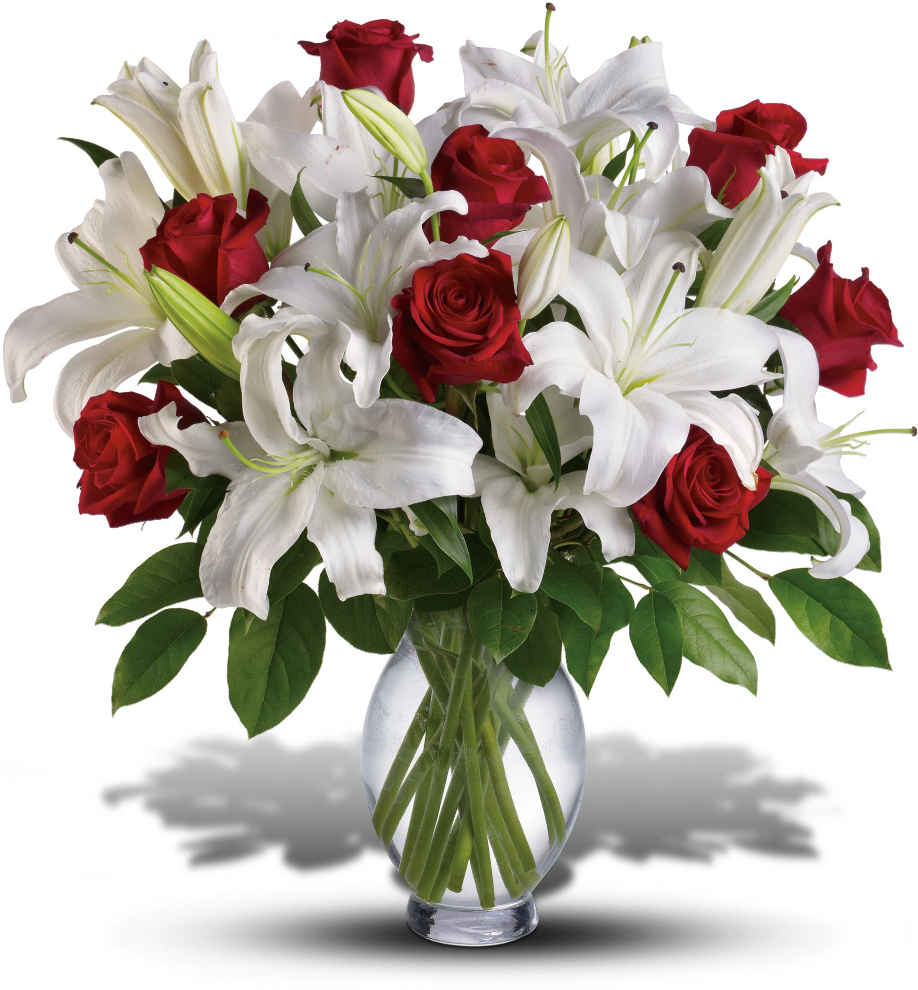 Teleflora's Timeless Romance - Long Stemmed Roses Flowers