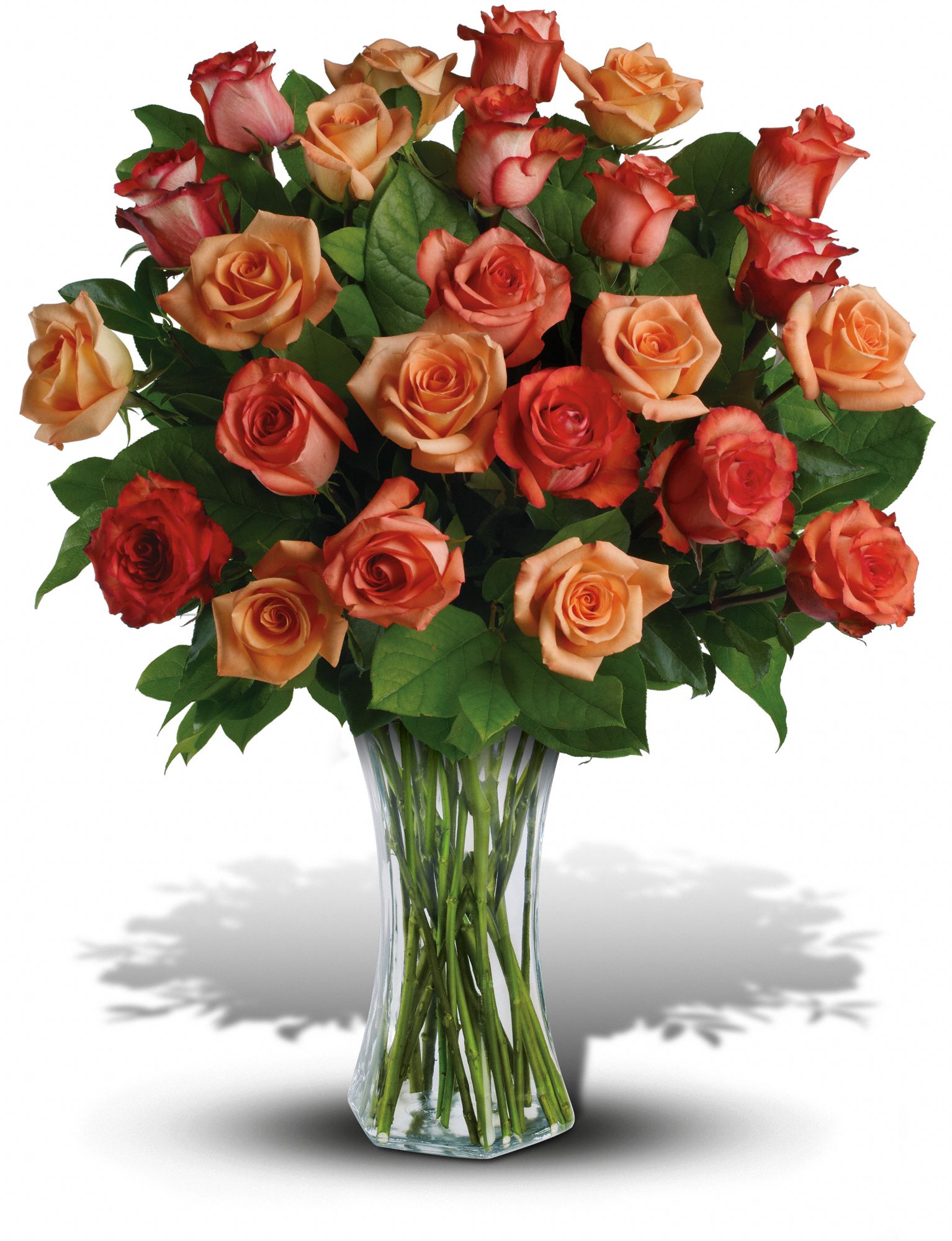 Sunrise Splendor Flowers
