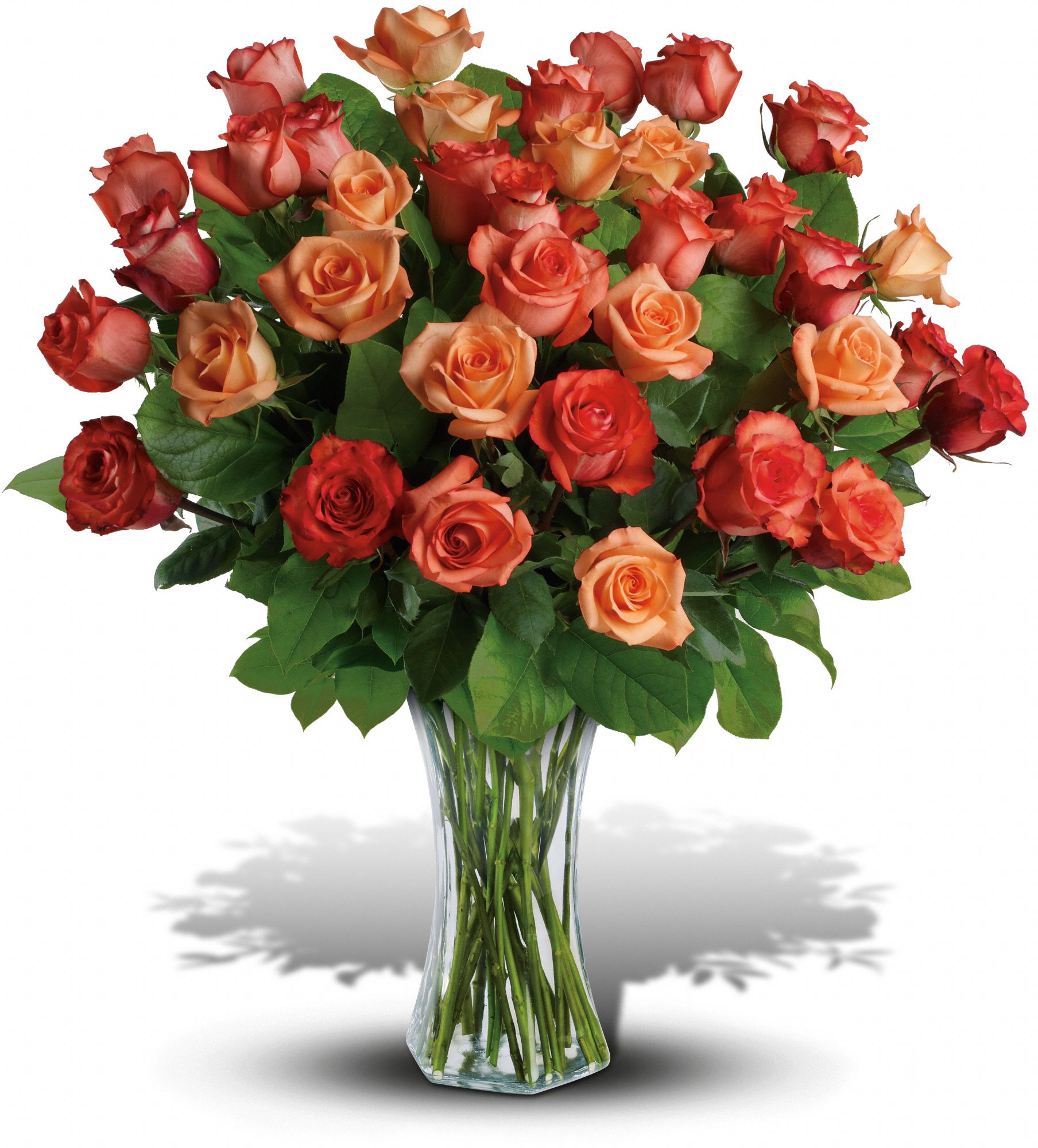 Sunrise Splendor Flowers