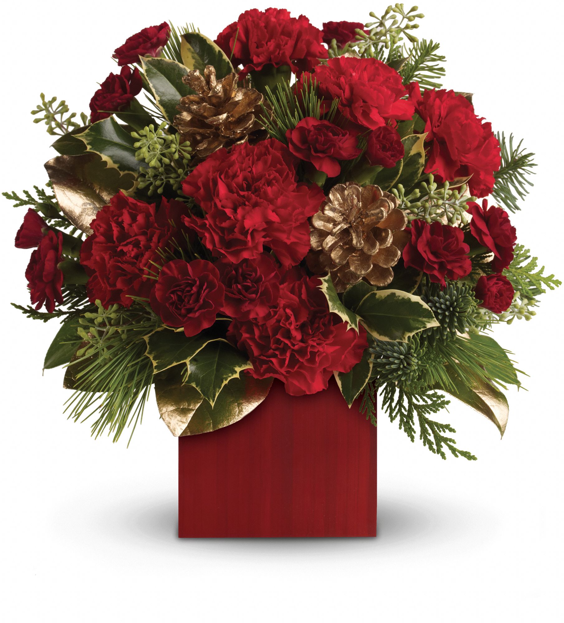 Laughter and Cheer by Teleflora Flowers
