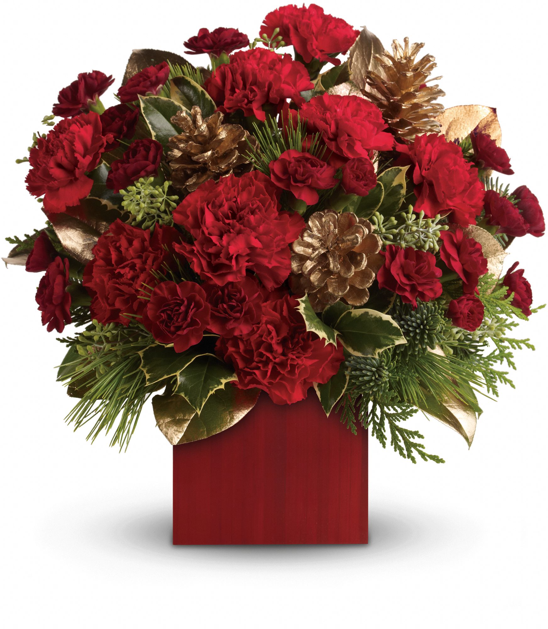 Laughter and Cheer by Teleflora Flowers