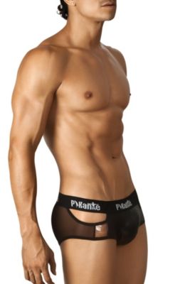Pikante® Lumiere Mesh Brief