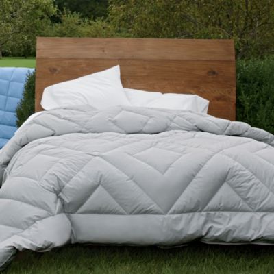 Safari comforters by waverly, "discontinued domestication comforter sets"