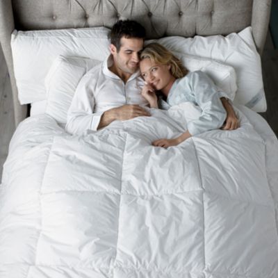 Black Label Primaloft® Comforter
