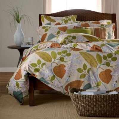 Company Organic Solid Fitted Sheet, Twin - The Company Store bedding