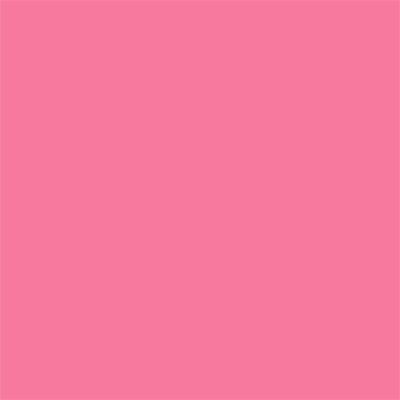 Flamingo Pink