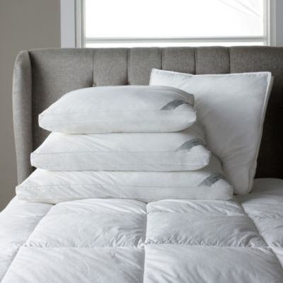 Black Label™ Primaloft® Pillows The Company Store