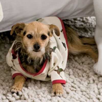 Dog PJ
