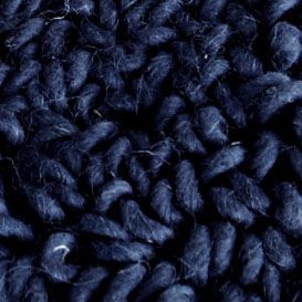 Insignia Blue