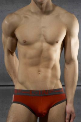 CIN2® Bamboo Slide Trophy Brief