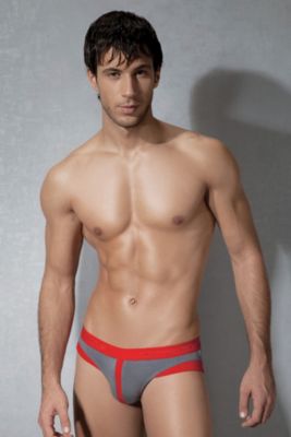 Doreanse Warrior Brief