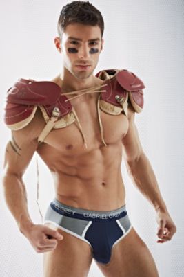 Gabriel Grey® Color Brief