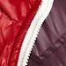 Dark Red/Plum