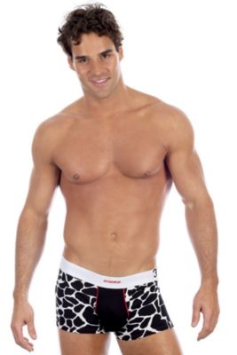 3G™ Safari Trunk