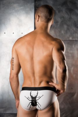 3G® Scarab Brief