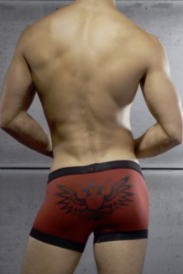 CIN2® Love and War Trunk
