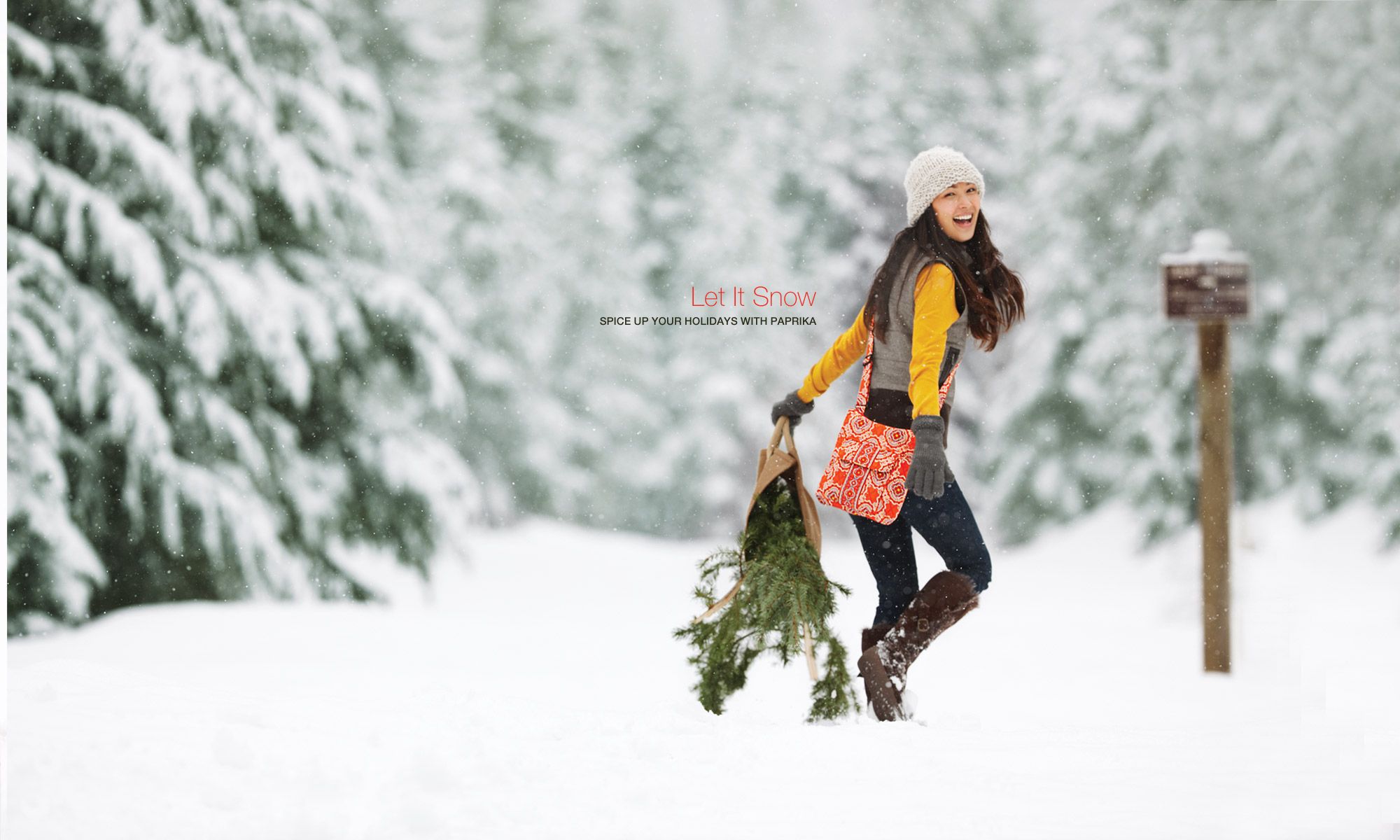 Let it Snow